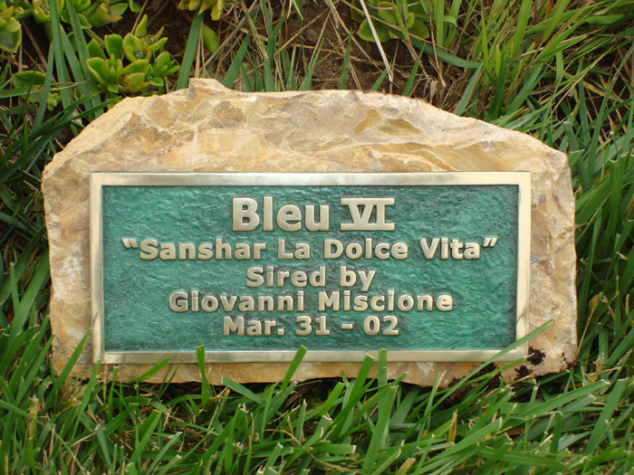 Pet memorial plaque